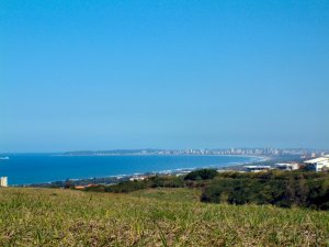 Durban From Umhlanga After